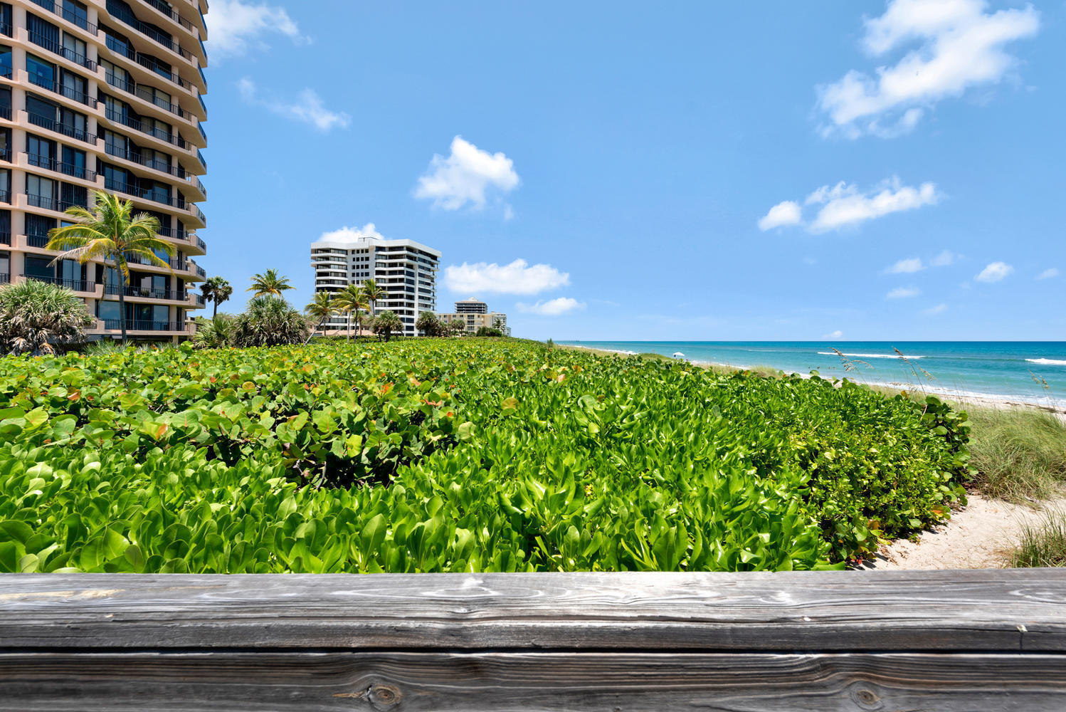 530 Ocean Drive 202, Juno Beach, FL 33408, Juno Beach