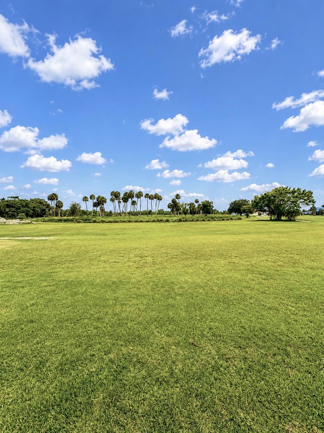 14130 SE 126th Boulevard, Okeechobee, FL 34974 photo 14