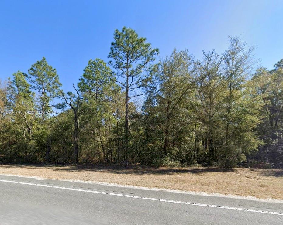 Lot 2 Lot 2 Street, Williston, FL 32696, Williston