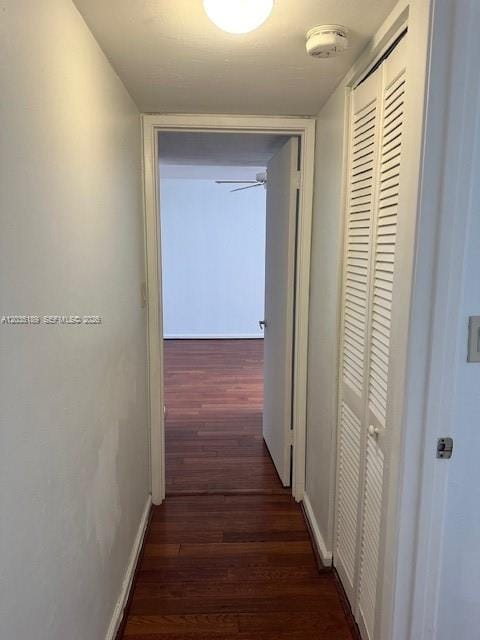 870 NW 87th Avenue 302, Miami, FL 33172 photo 17