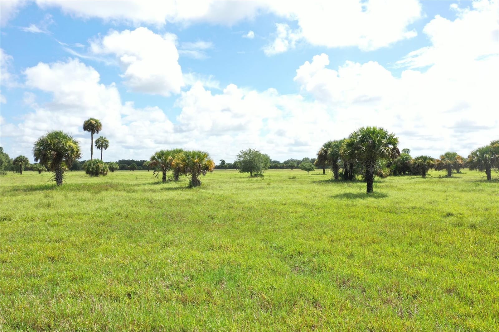 0 Co Rd 832, Clewiston, FL 33440 photo 14