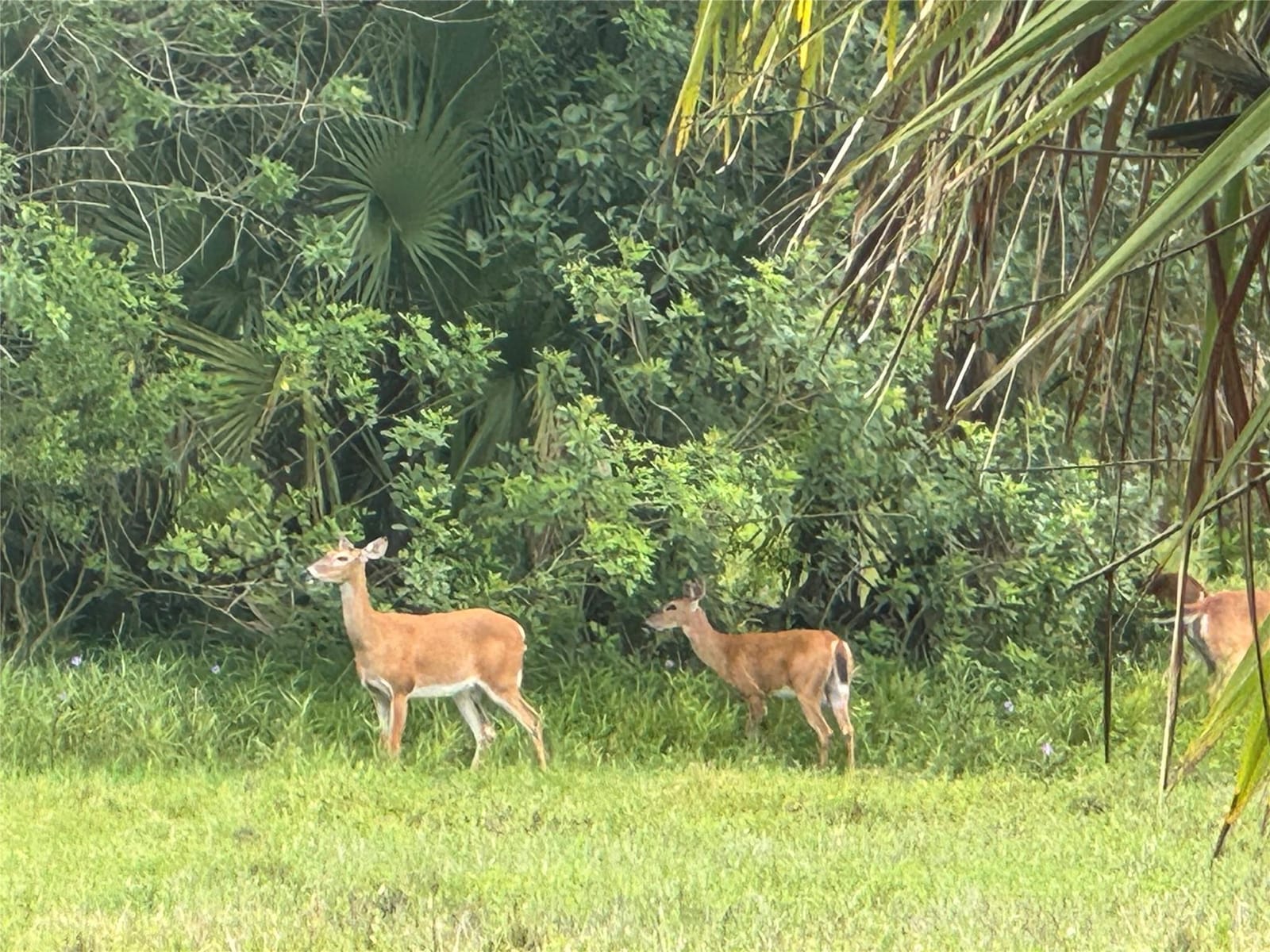 0 Co Rd 832, Clewiston, FL 33440 photo 28
