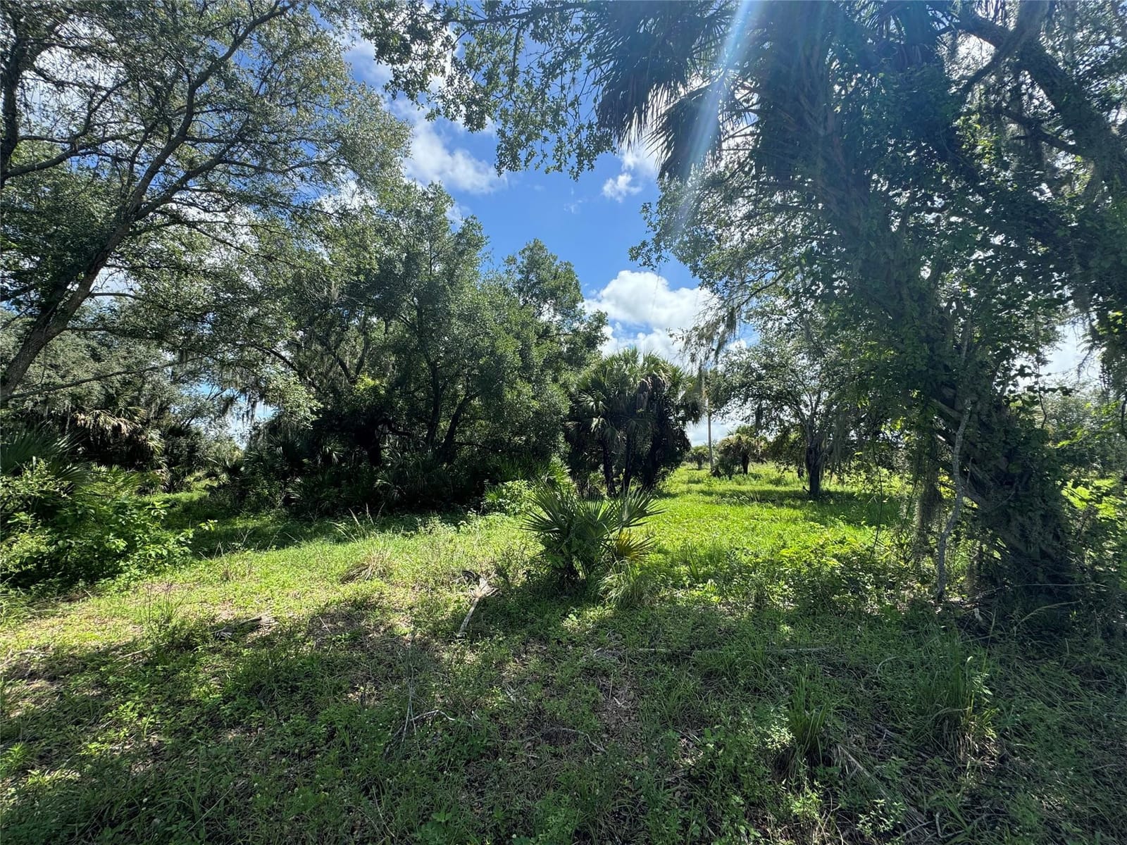 0 Co Rd 832, Clewiston, FL 33440 photo 4