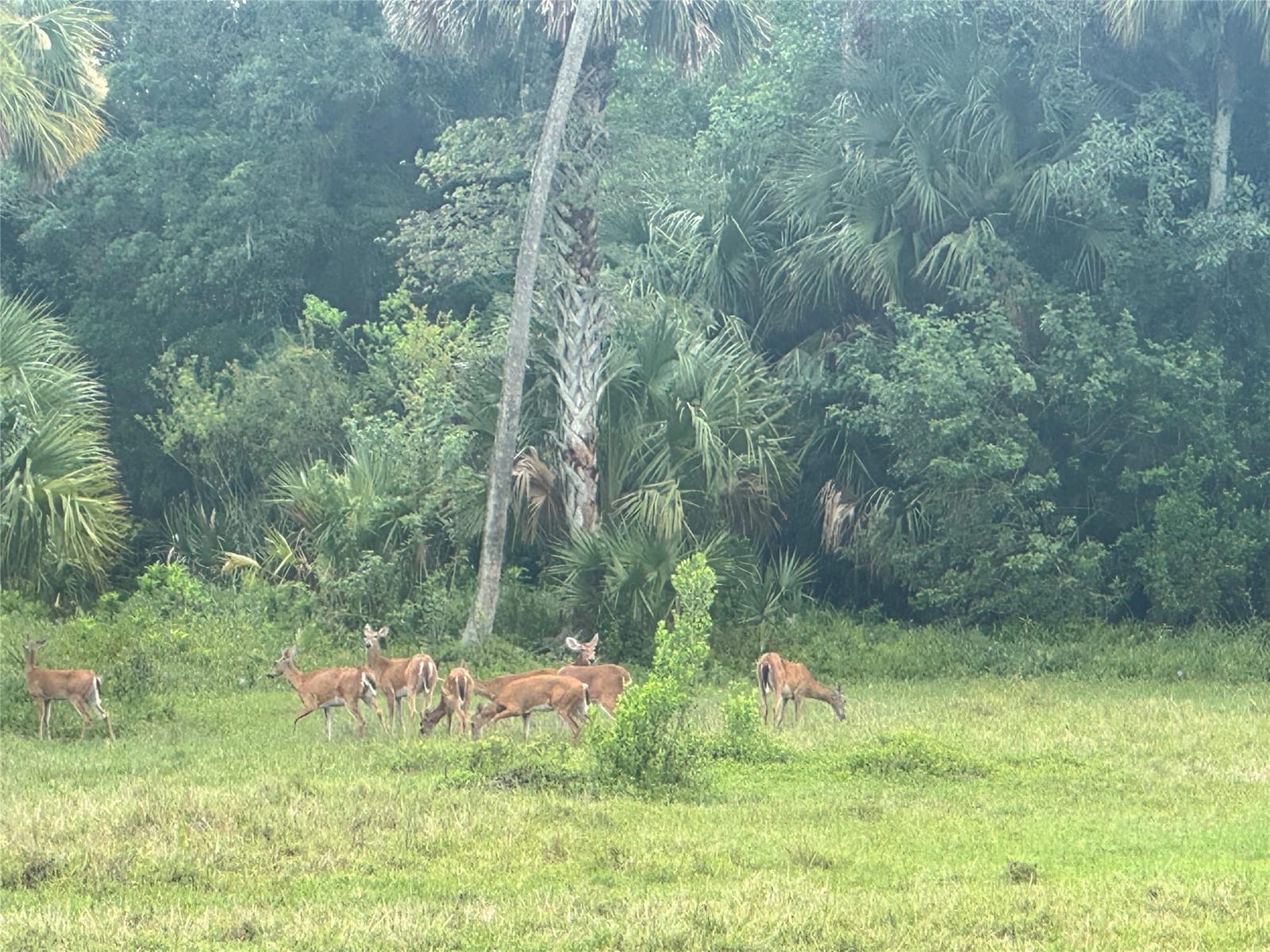 0 Co Rd 832, Clewiston, FL 33440 photo 6