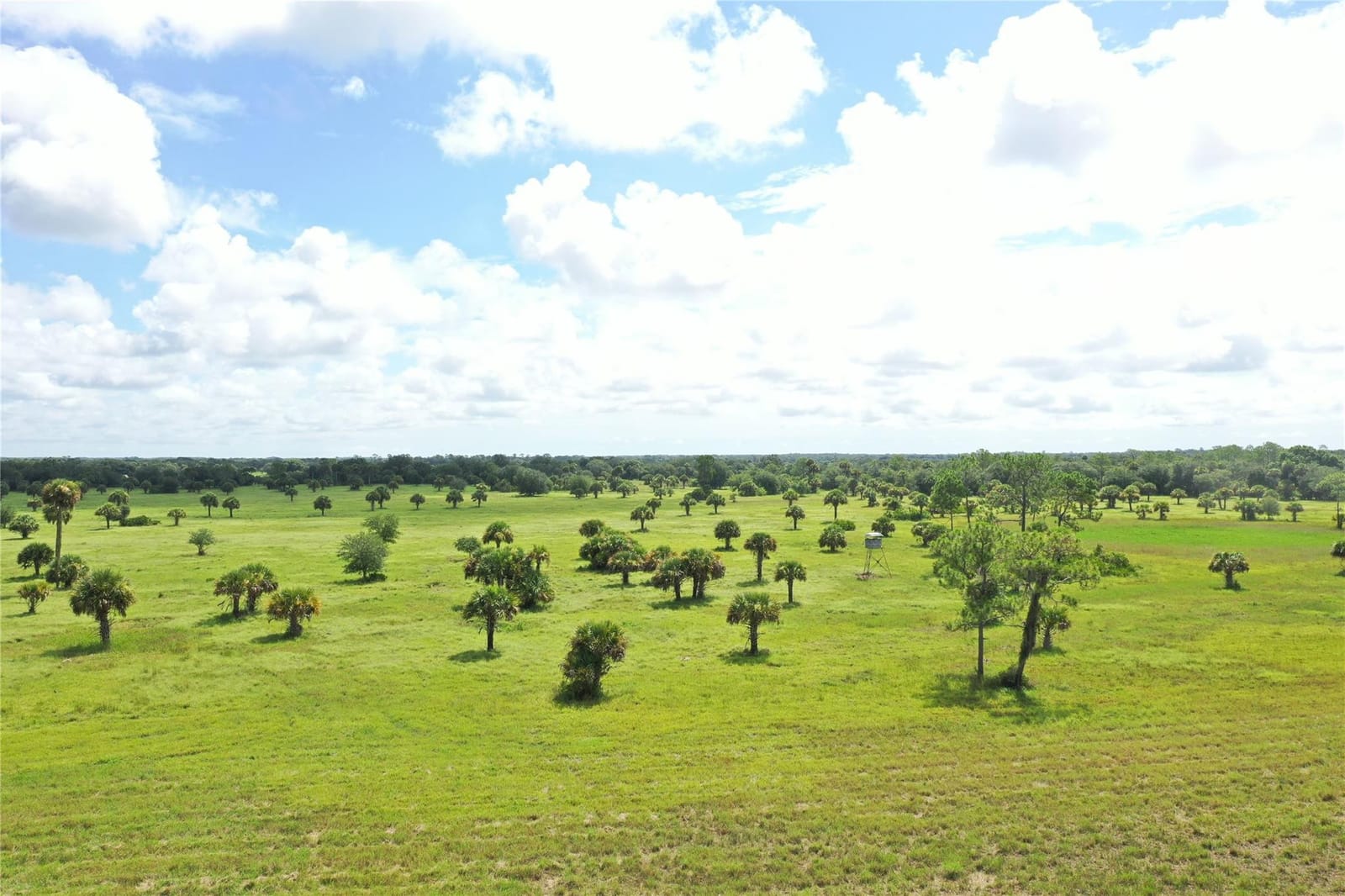 0 Co Rd 832, Clewiston, FL 33440 photo 8