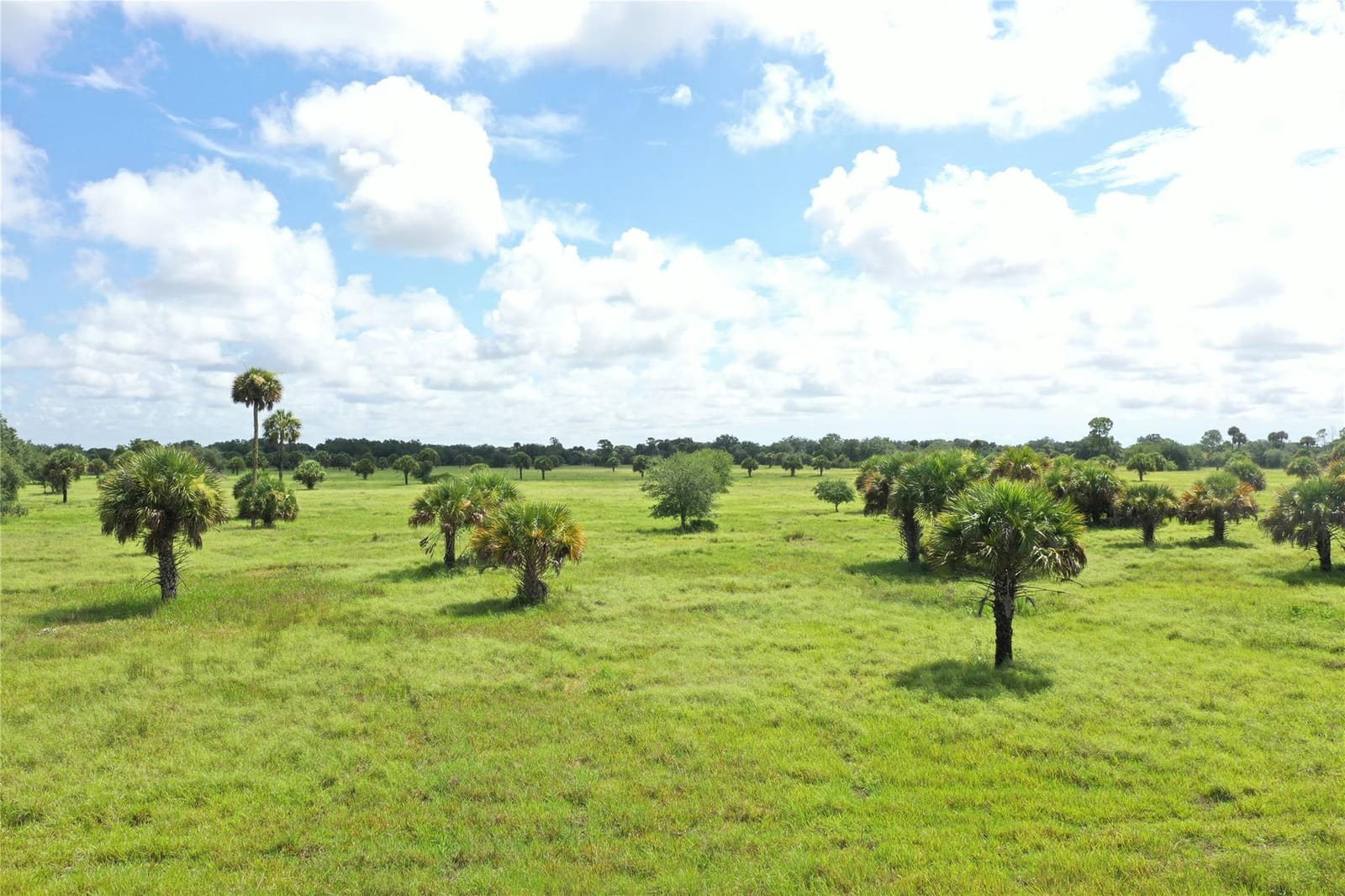 0 Co Rd 832, Clewiston, FL 33440 photo 10