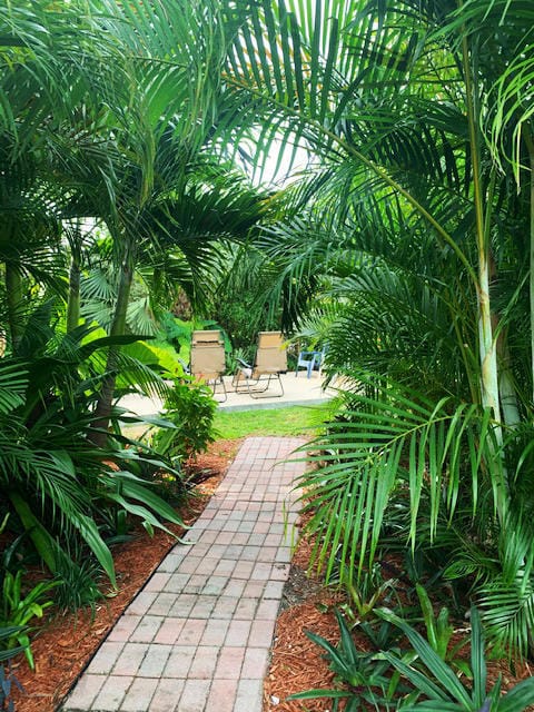955 York Street, West Palm Beach, FL 33401 photo 24
