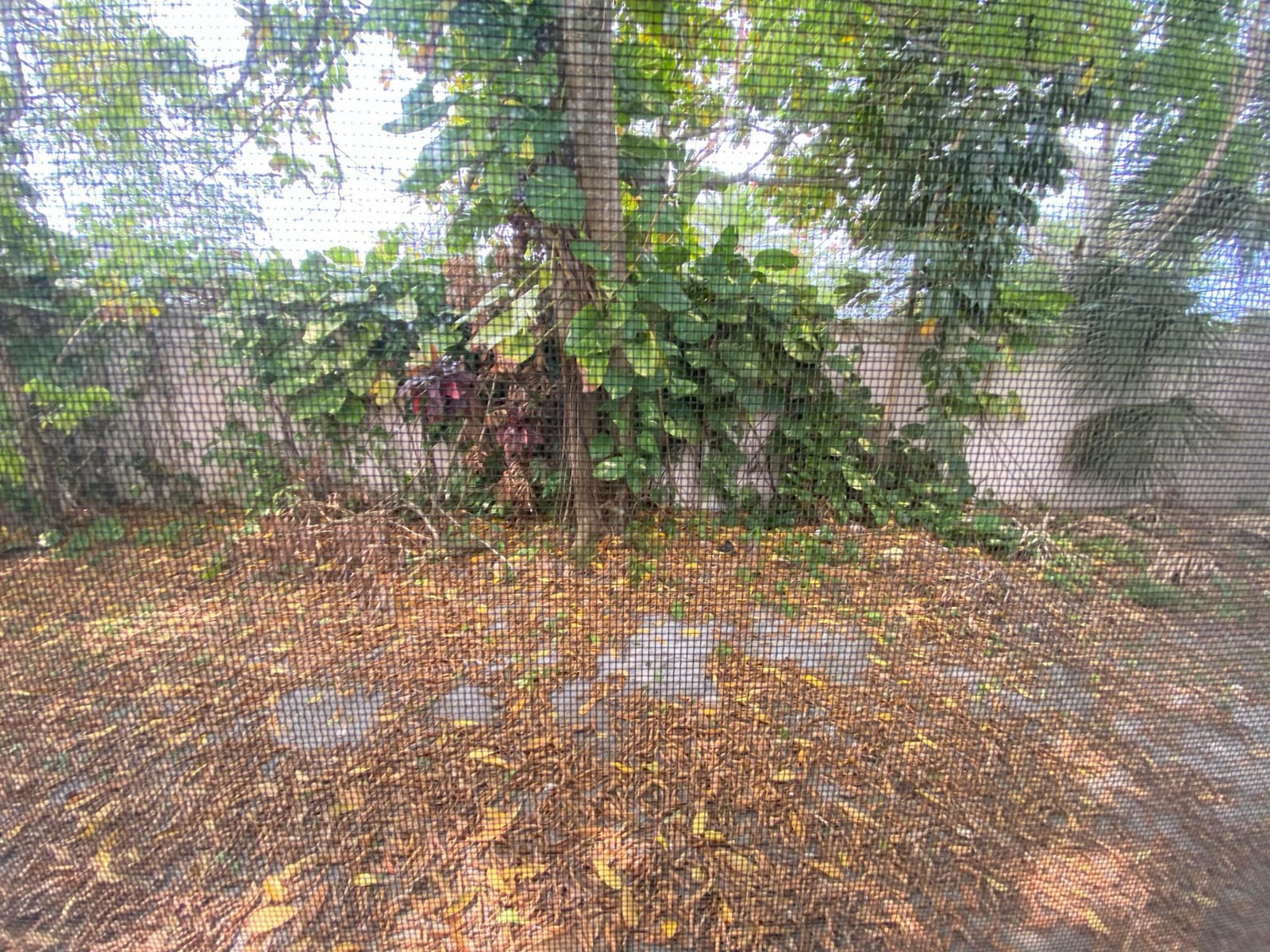 5139 NW 43rd Court, Lauderdale Lakes, FL 33319 photo 2