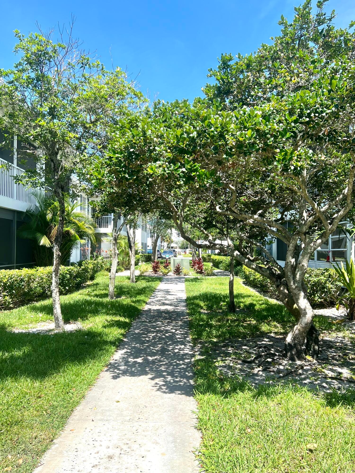 2201 NE 66th Street 1306, Fort Lauderdale, FL 33308 photo 19