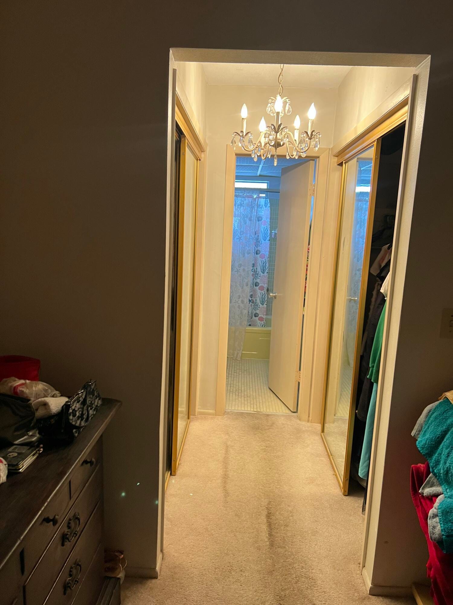 1321 NW 43rd Avenue 202, Lauderhill, FL 33313 photo 14
