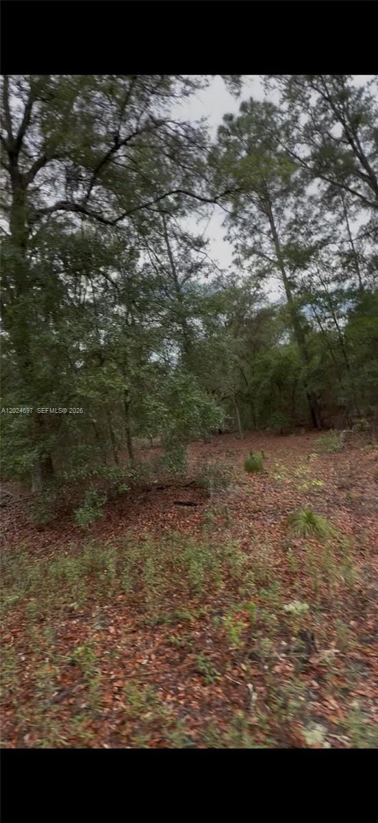 1699 SW 153 Court, Ocala, FL 34481 photo 2
