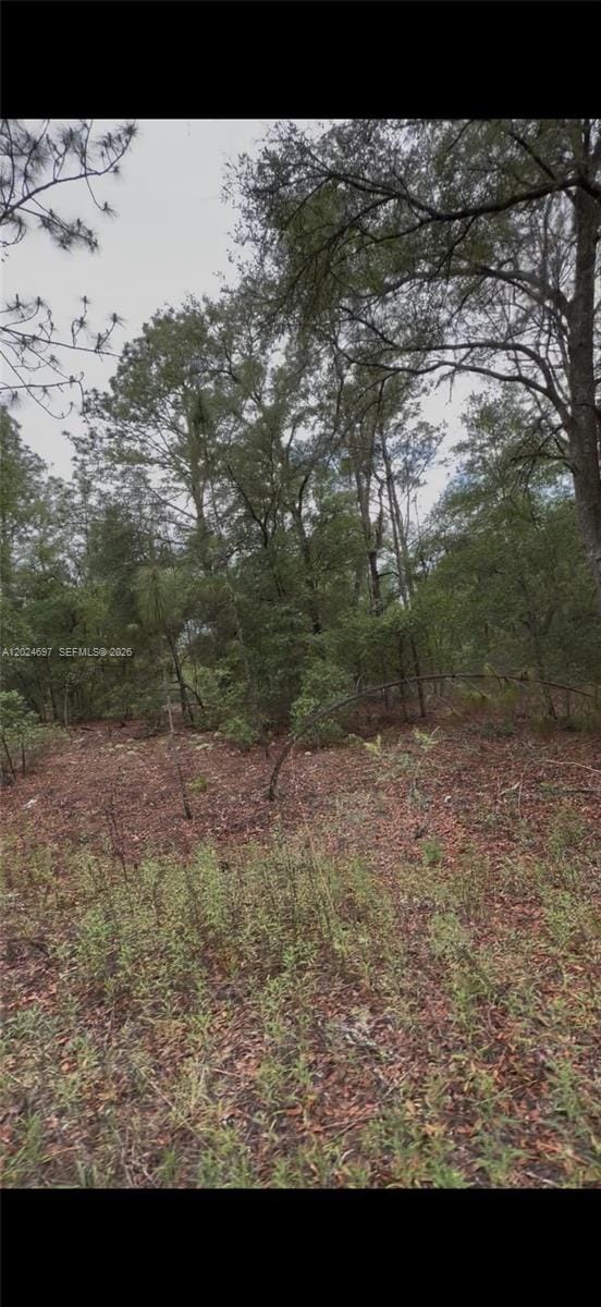 1699 SW 153 Court, Ocala, FL 34481 photo 3