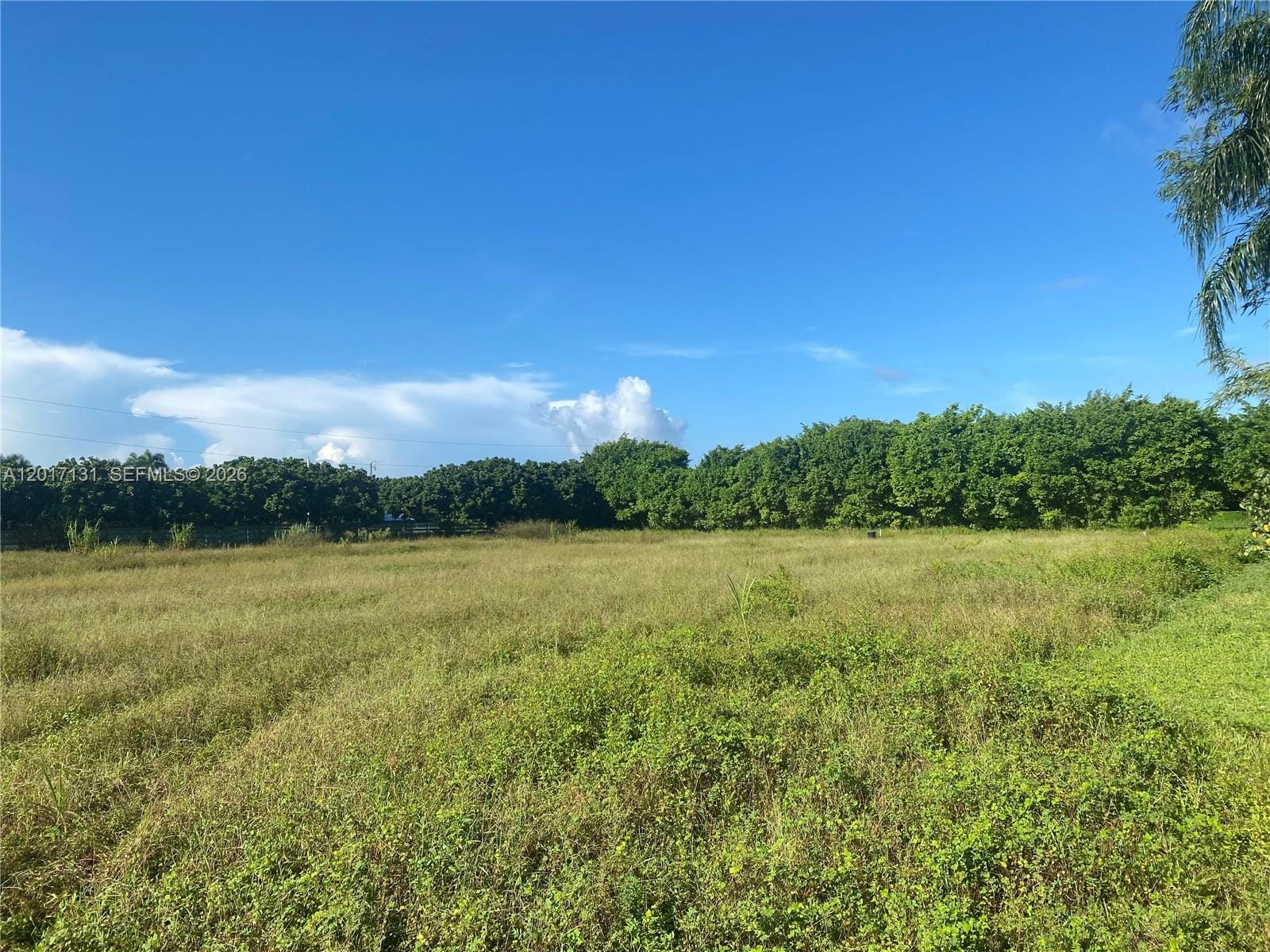 sw 246 SW 246 Sw 187 Avenue — photo 10