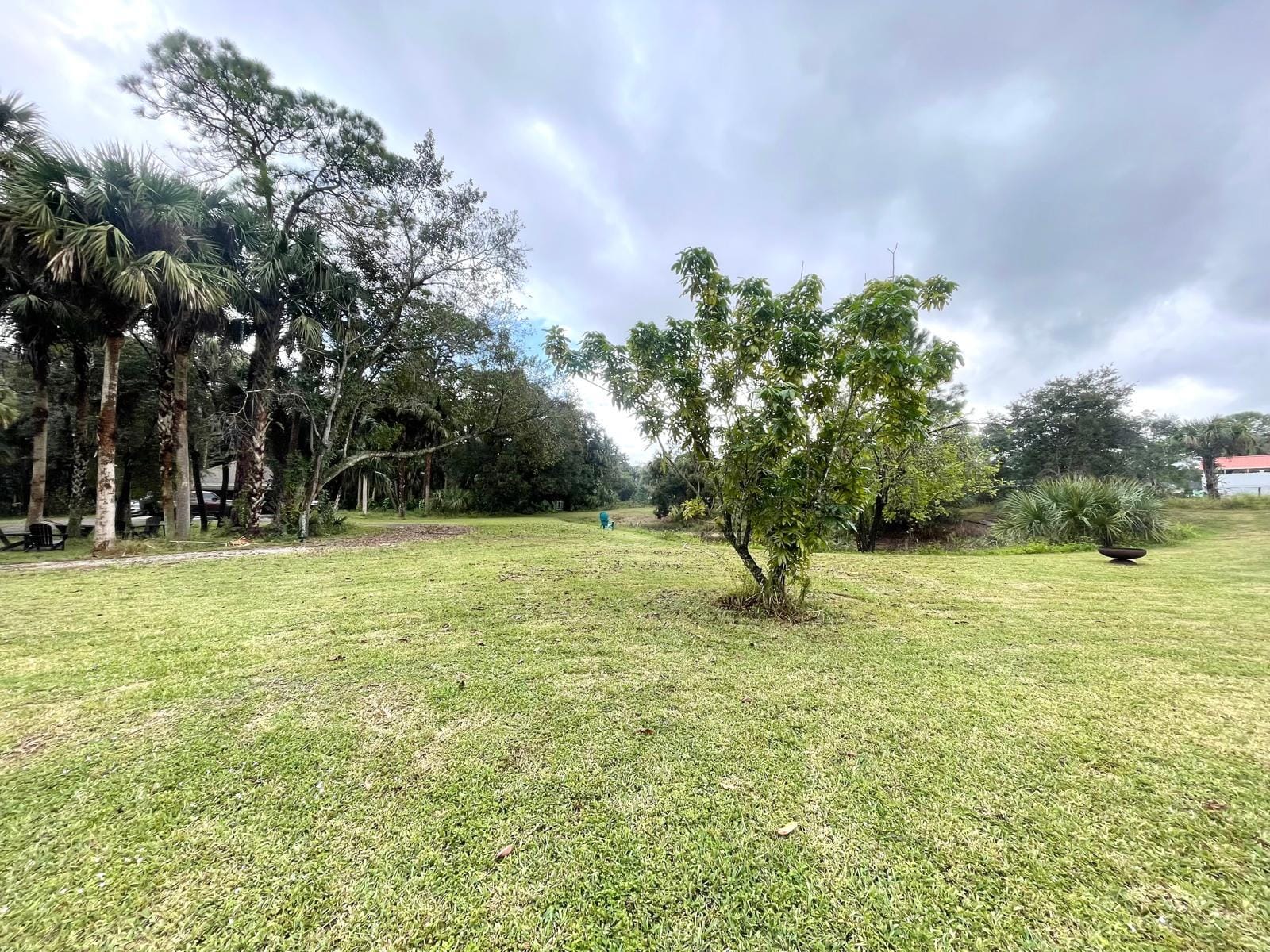 15780 N 99th St Street N 15780, The Acreage, FL 33412 photo 16