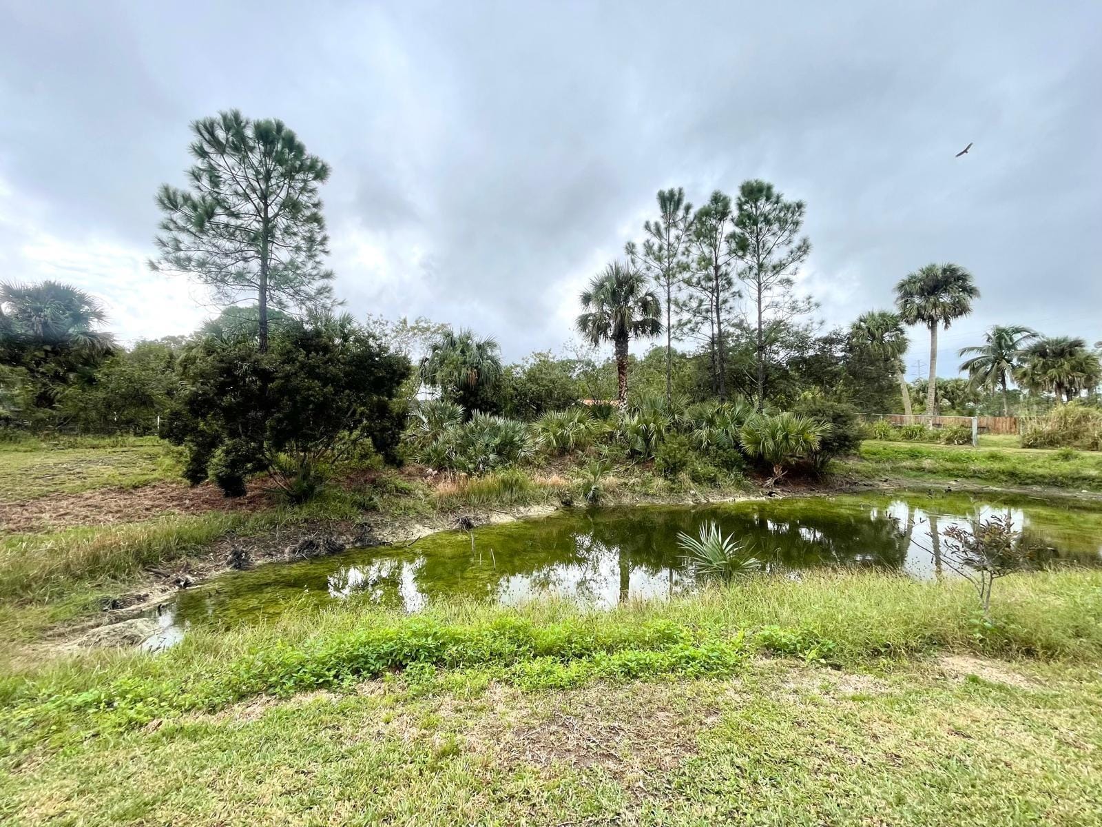 15780 N 99th St Street N 15780, The Acreage, FL 33412 photo 20