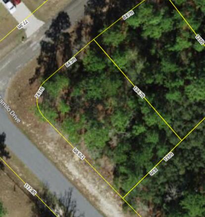 9239 N Marcus Way, Citrus Springs, FL 34433, Citrus Springs