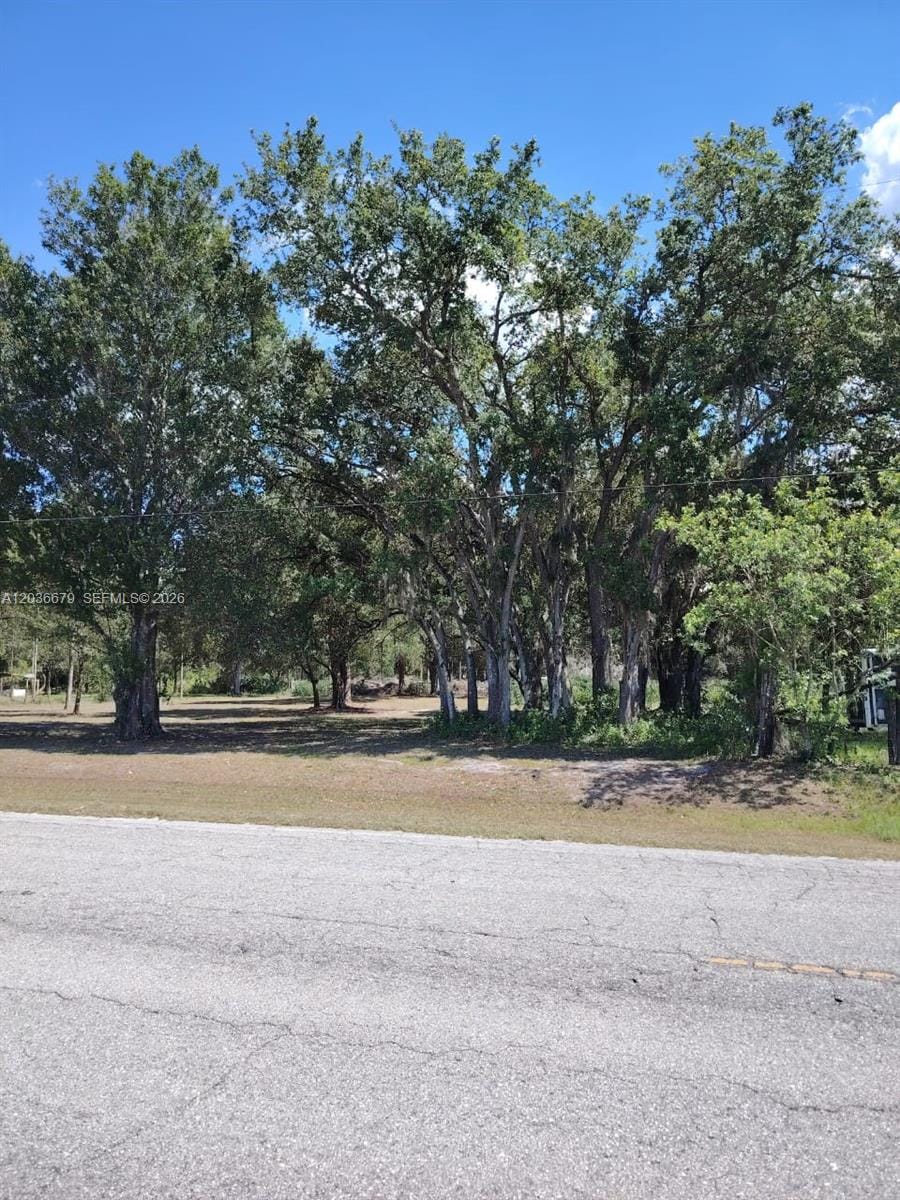 630 Pine Cove Avenue, Clewiston, FL 33440 photo 5