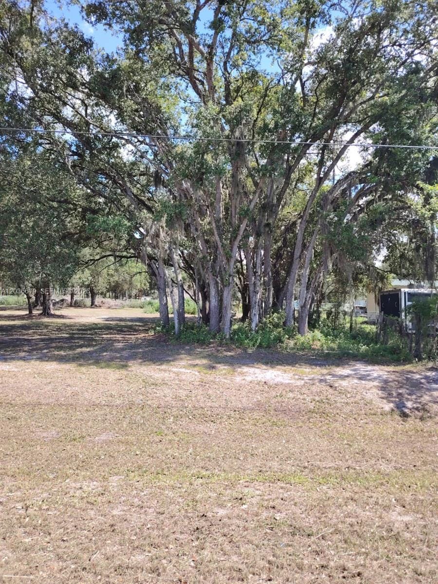 630 Pine Cove Avenue, Clewiston, FL 33440 photo 7