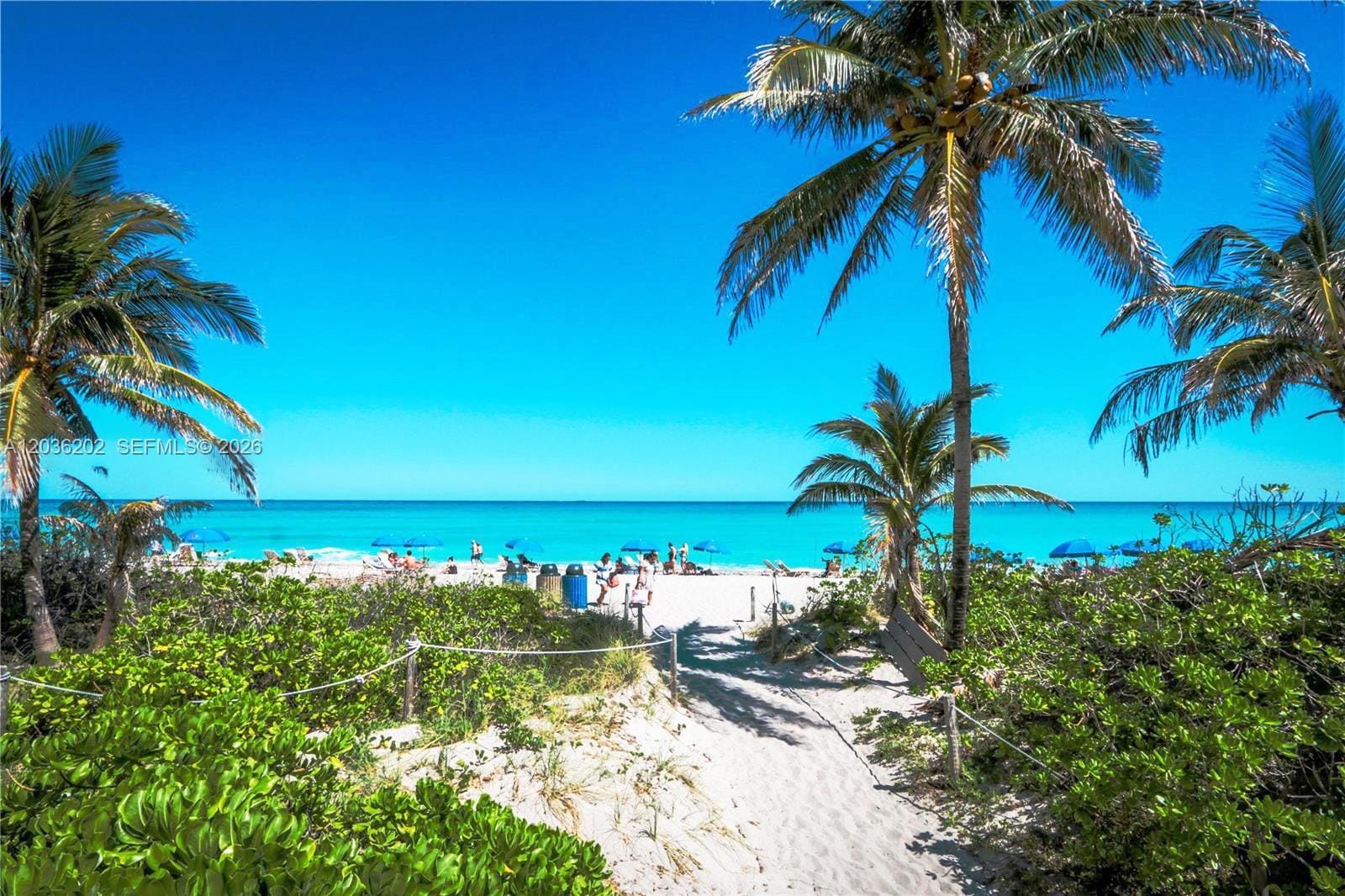 1985 S Ocean Drive ML, Hallandale Beach, FL 33009 photo 16