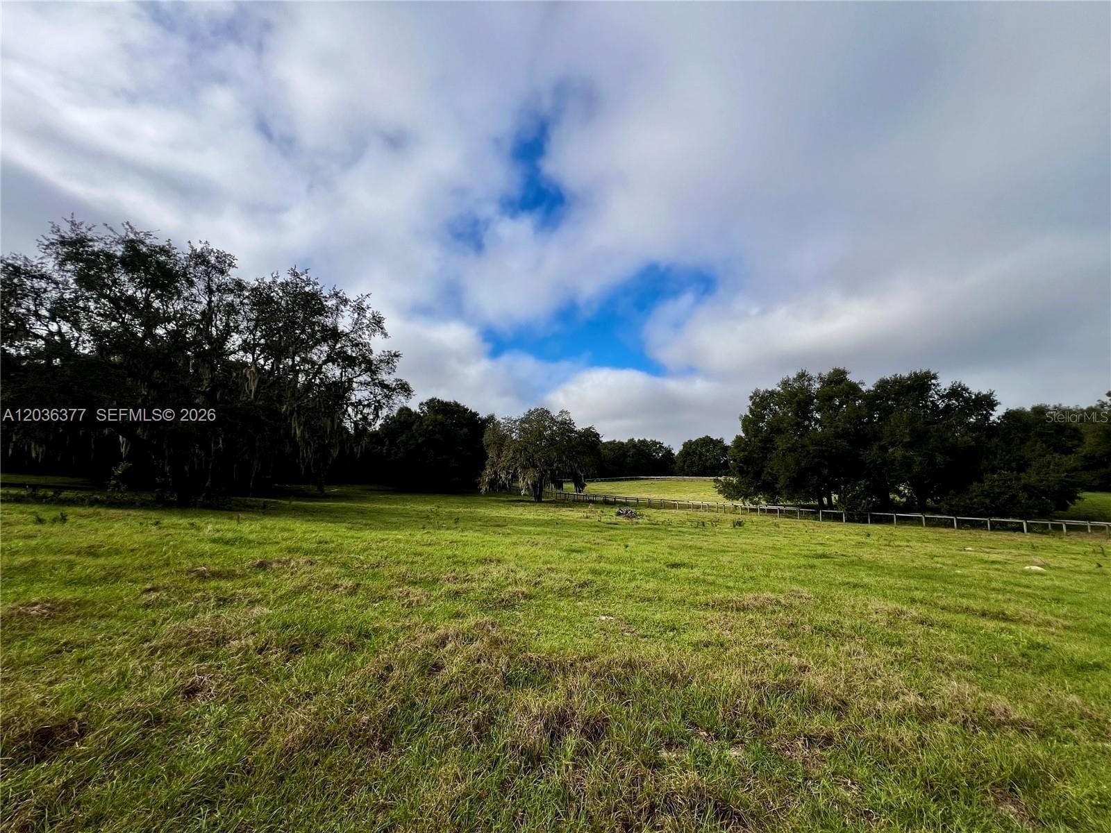 XXXXX Xxxxx Micro Racetrack Road — photo 6