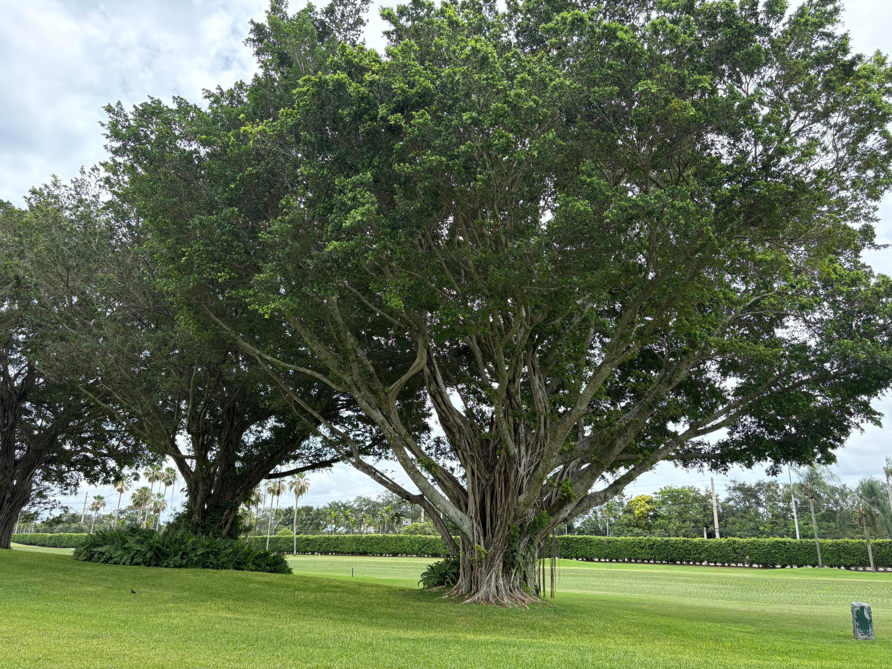 9820 S Hollybrook Lake Drive 110, Pembroke Pines, FL 33025, Pembroke Pines