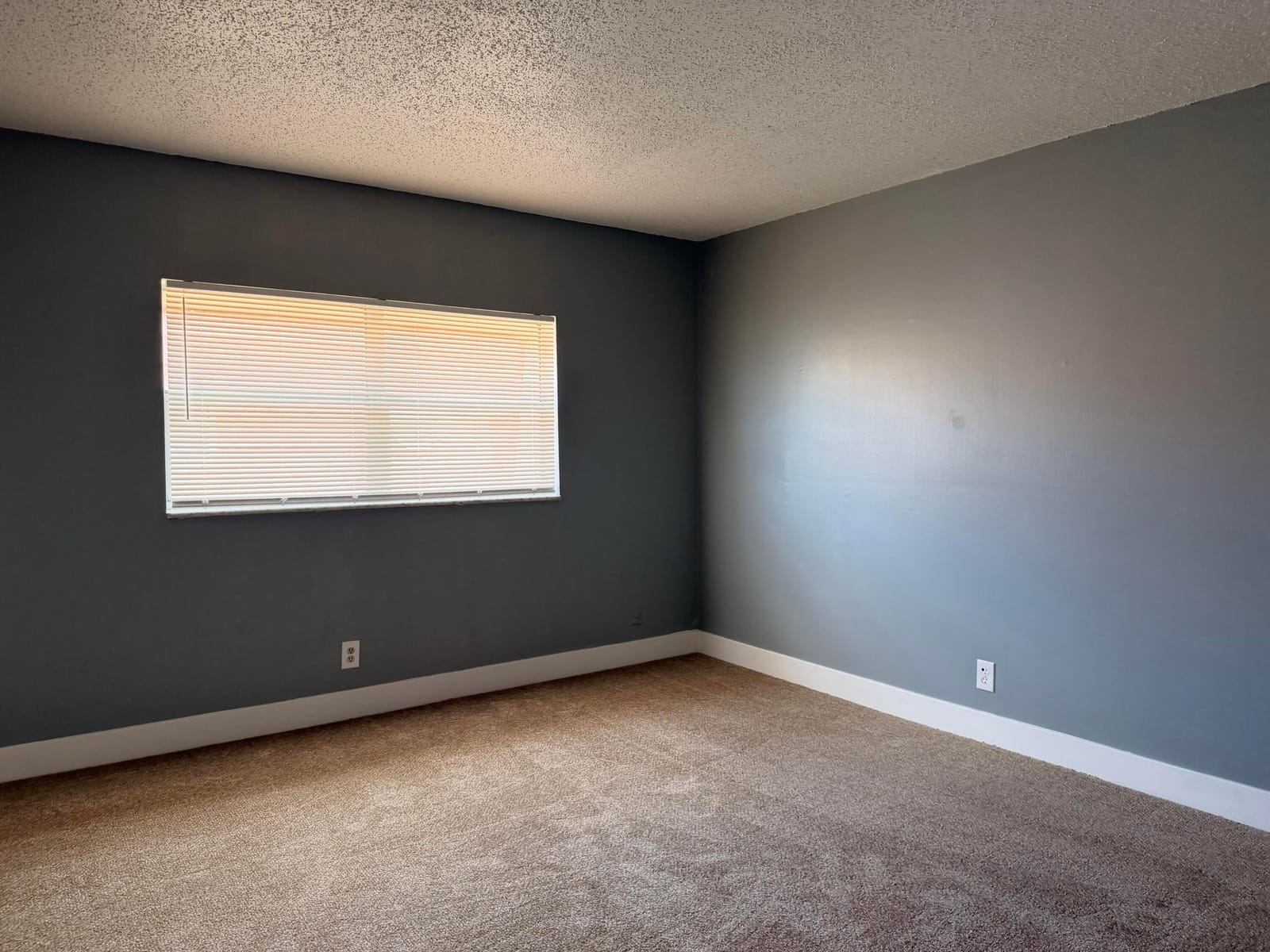 2552 NW 52nd Avenue B19 — photo 3
