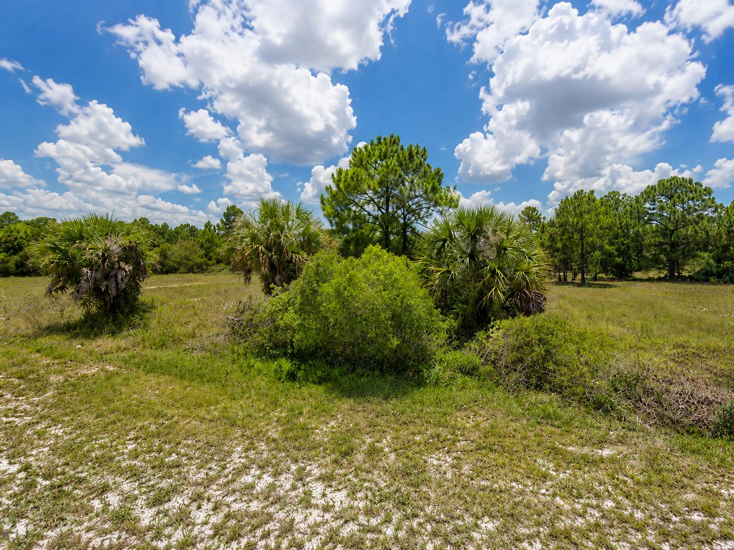 170 S Coral Street, Clewiston, FL 33440, Clewiston