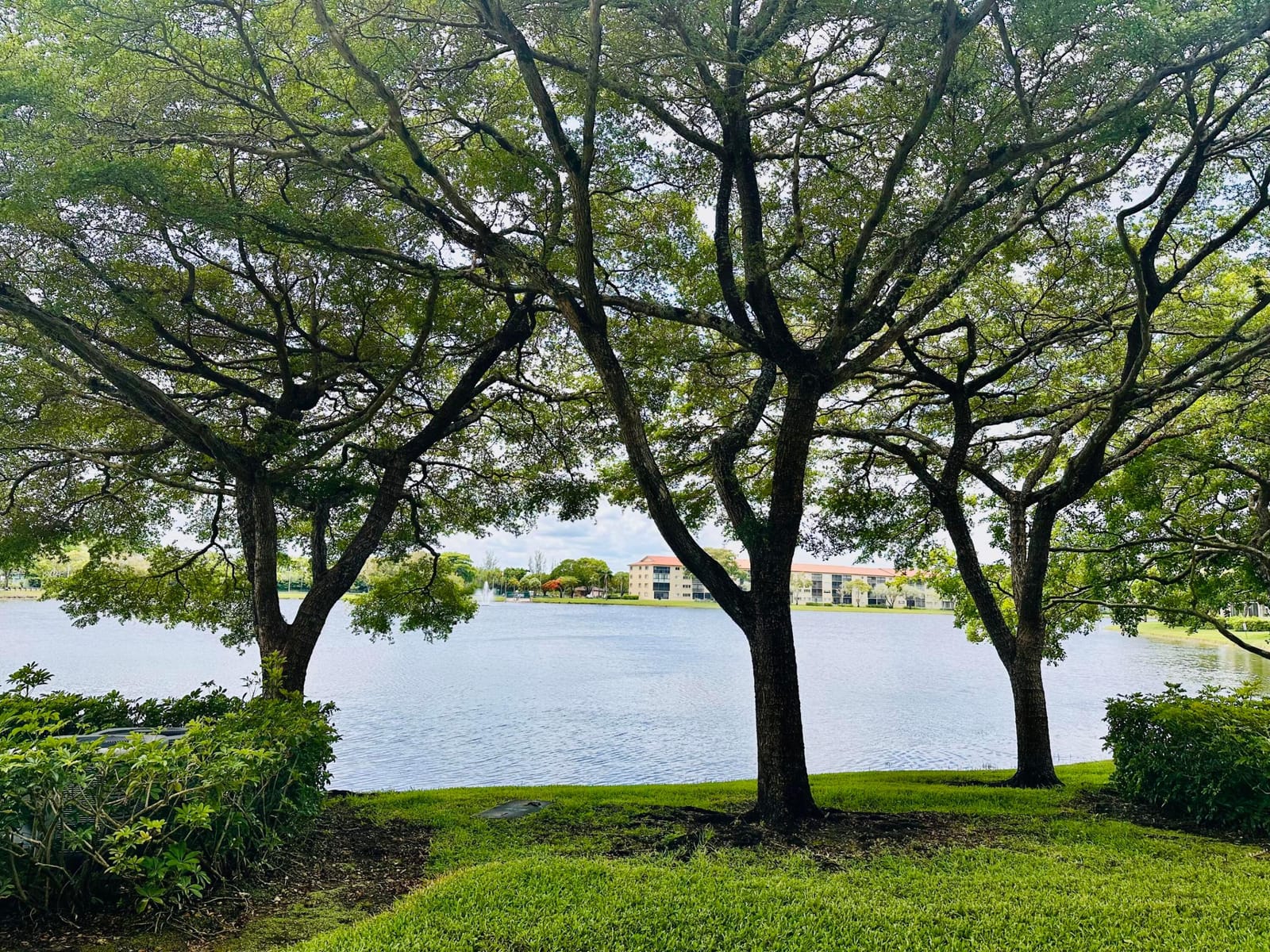 1400 SW 137 Avenue 107f, Pembroke Pines, FL 33027 photo 23