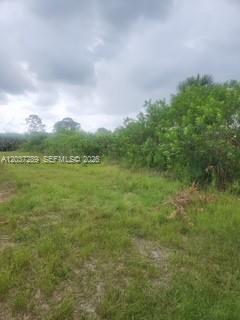 437 Naples Avenue S, Lehigh Acres, FL 33974, Lehigh Acres