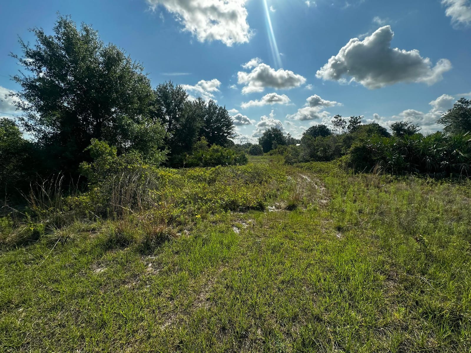 15138 NW 262nd Street — photo 9