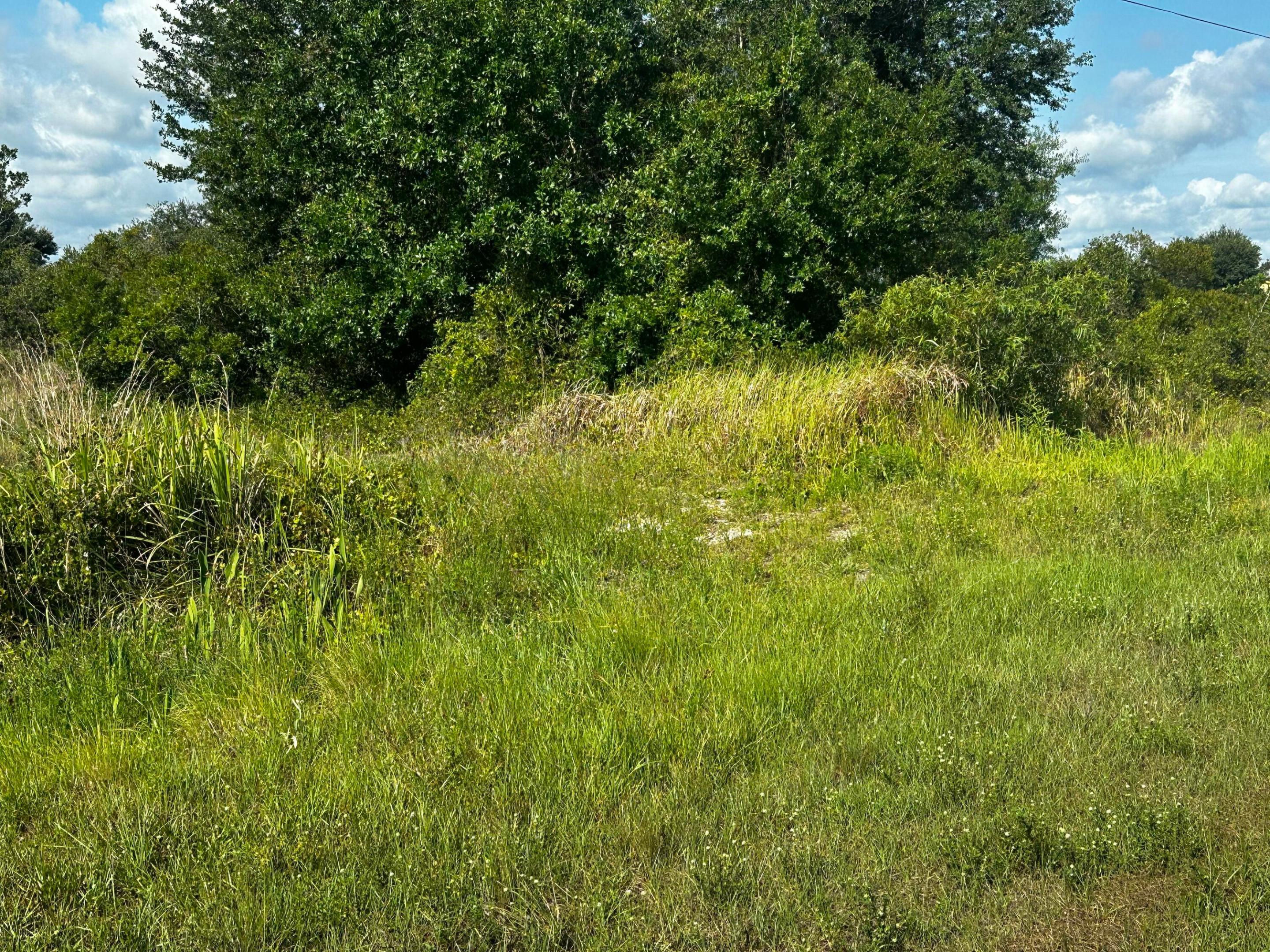 15138 NW 262nd Street, Okeechobee, FL 34972, Okeechobee