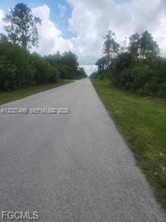 439 Naples Avenue S, Lehigh Acres, FL 33974 photo 6