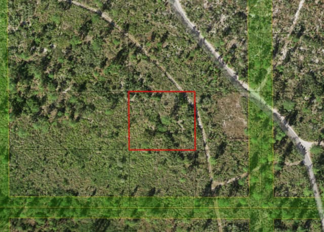 0 Holopaw Groves Road, St. Cloud, FL 34772