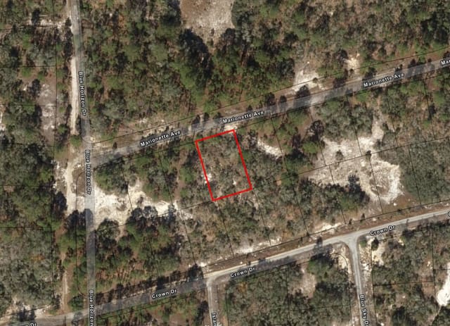 387 Marionette Avenue, Lake Placid, FL 33852