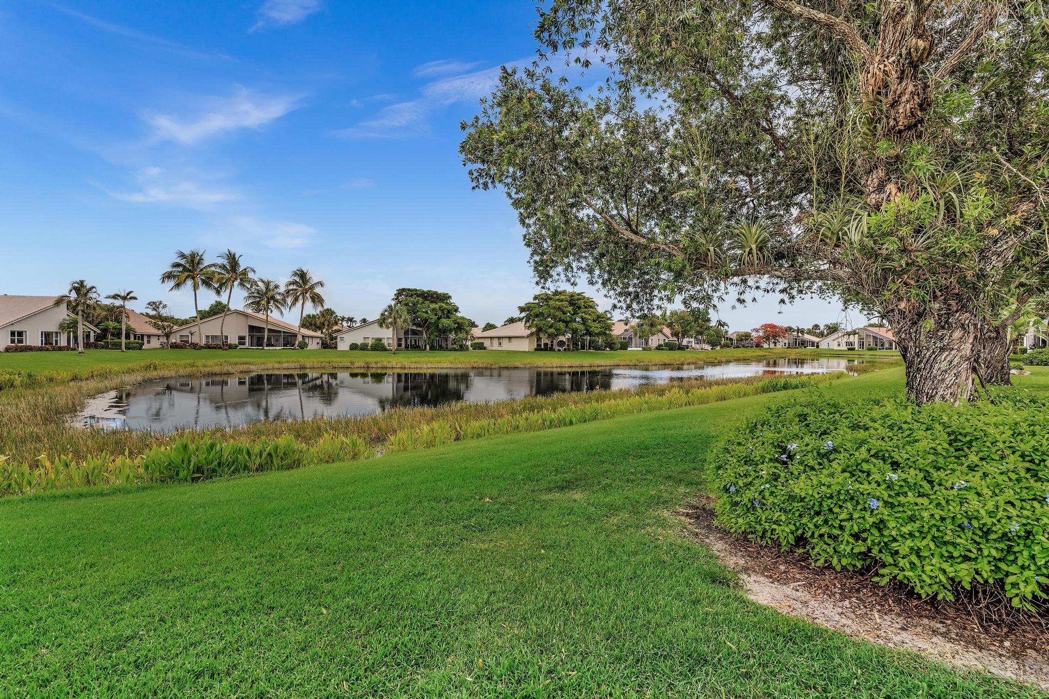 12316 Lakeridge Falls Drive — photo 4