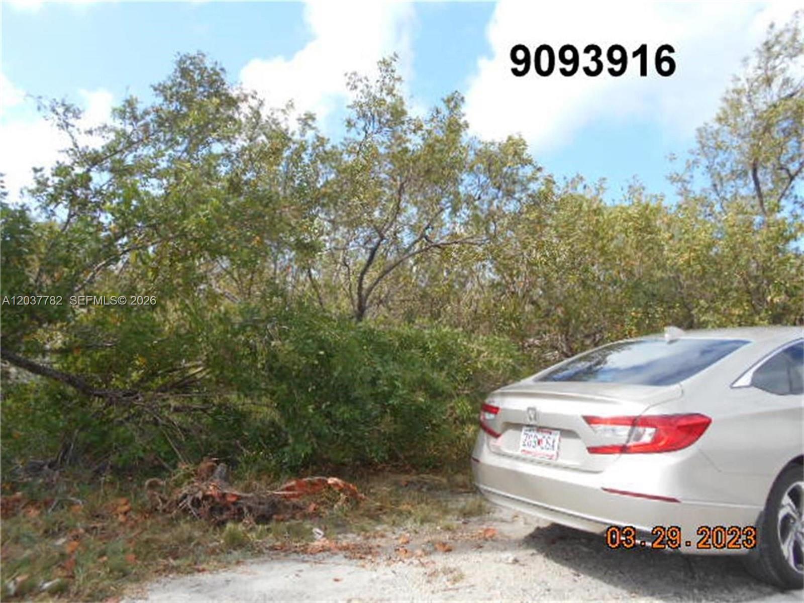 27334 Saint Lucie Lane, Big Pine Key, FL 33042, Big Pine Key