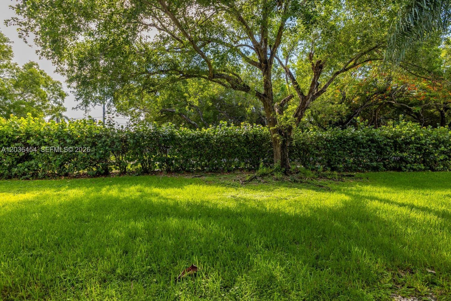 1055 N Franklin Avenue 1055G, Homestead, FL 33034 photo 23