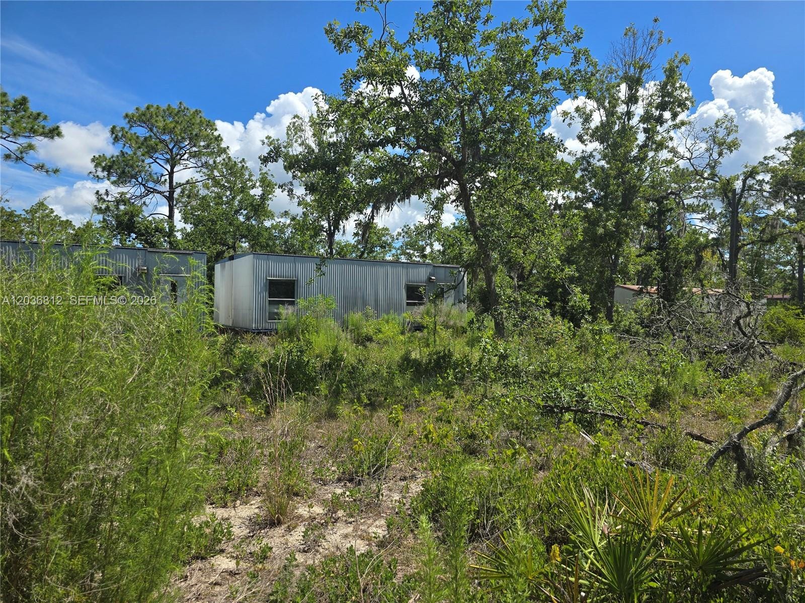 2228 Turkey Oak Road — photo 4