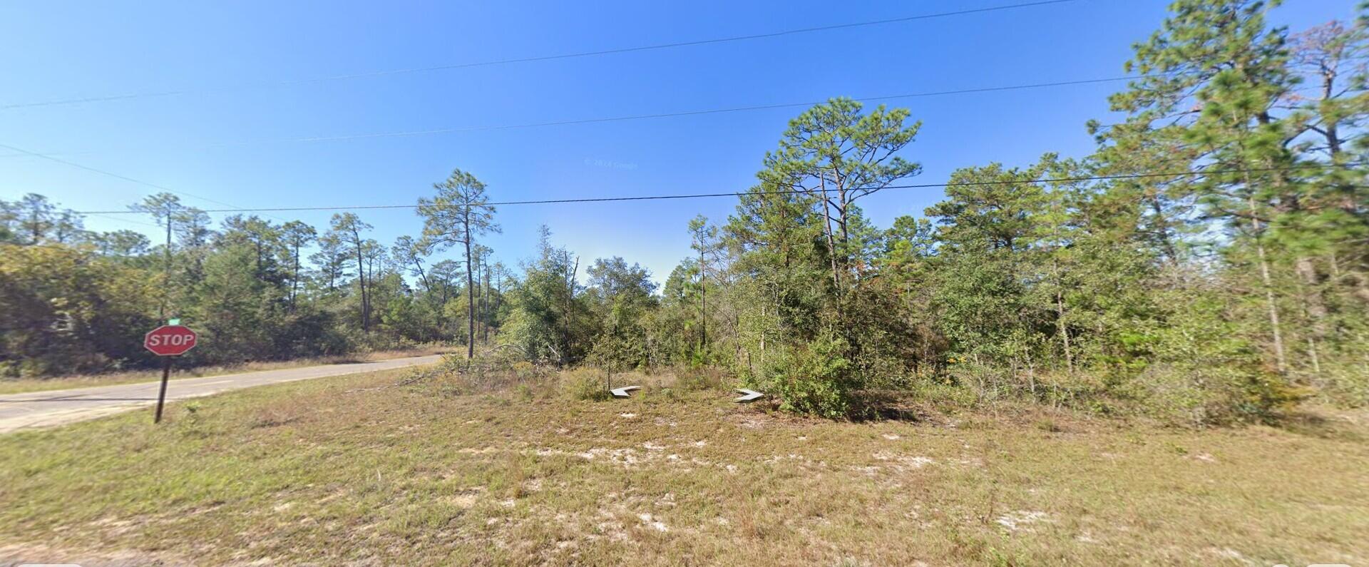 9999 Merrick Drive, Chipley, FL 32428, Chipley