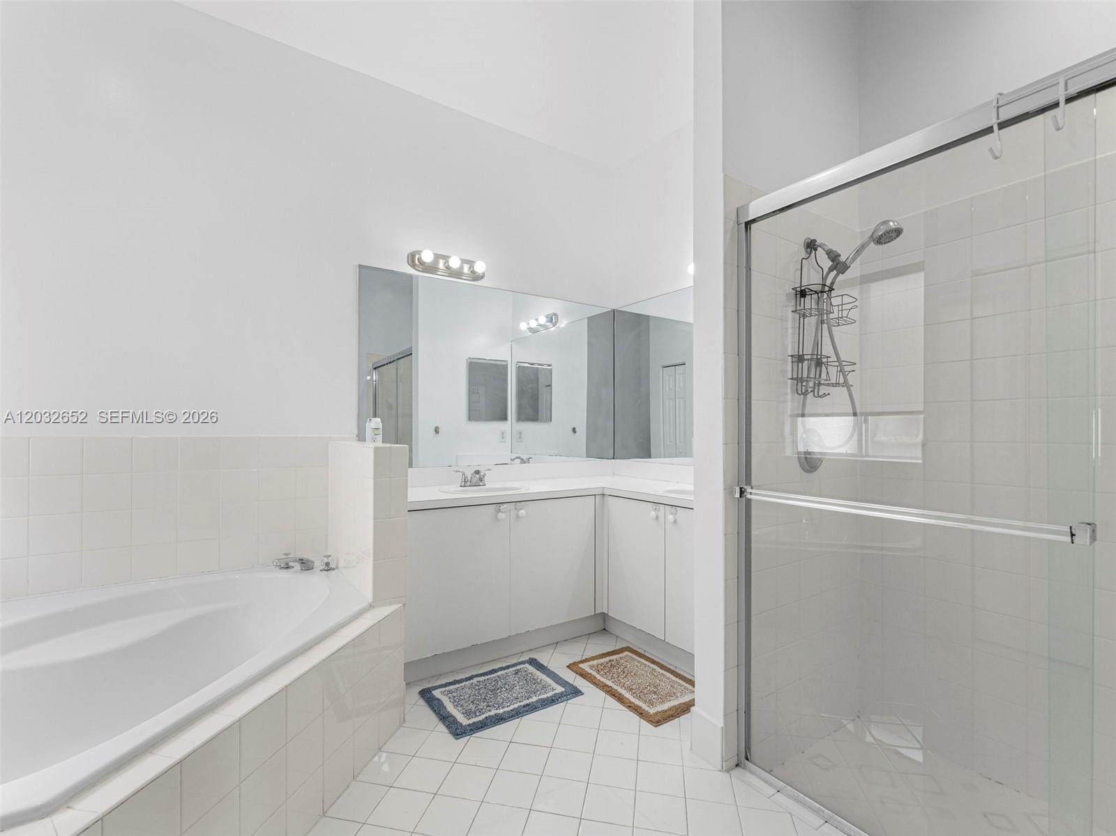 15780 SW 141st Street, Miami, FL 33196 photo 8
