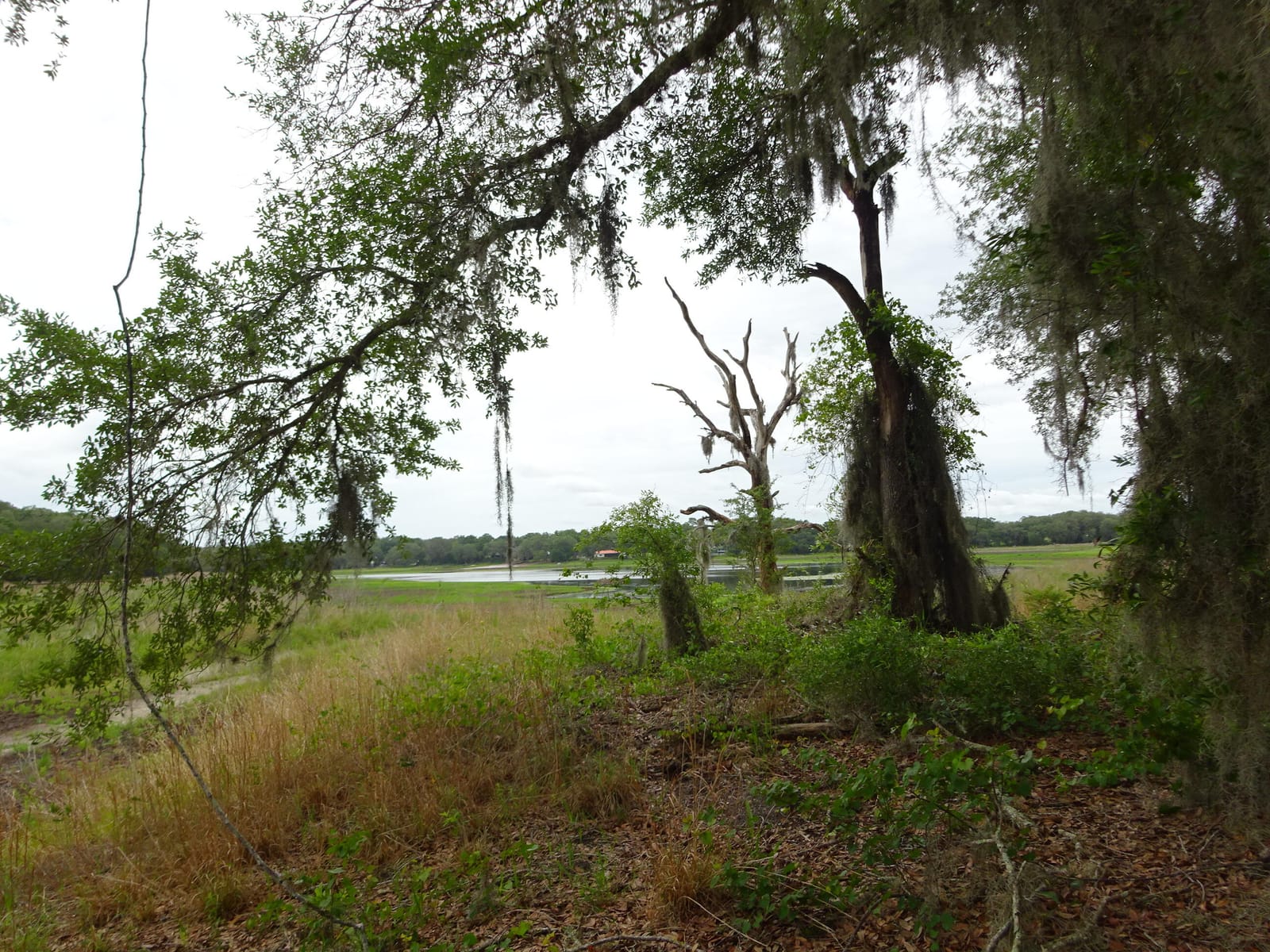 2208 SW Shorewood Drive, Dunnellon, FL 34431 - photo 1 of 23