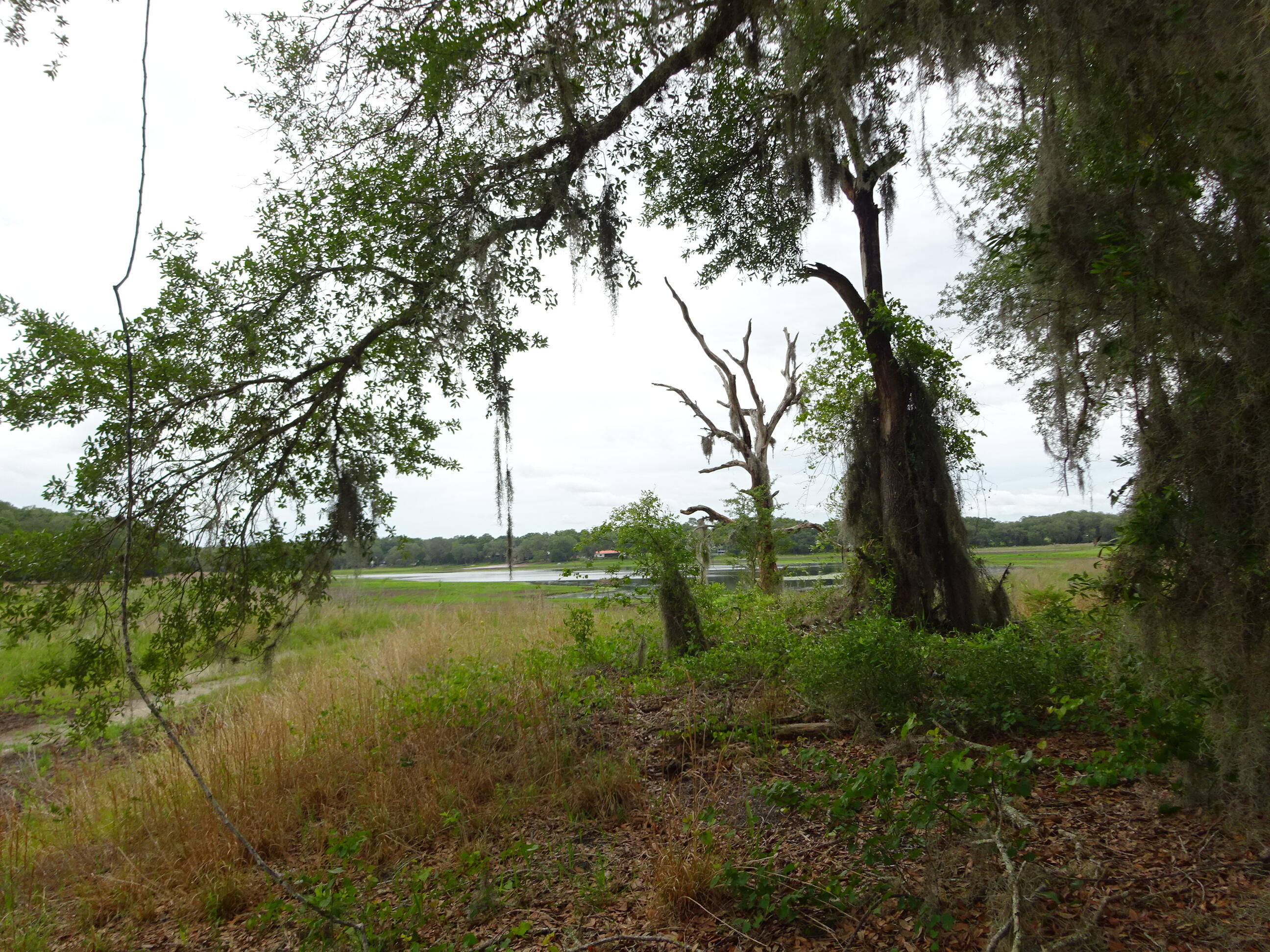 2208 SW Shorewood Drive, Dunnellon, FL 34431, Dunnellon