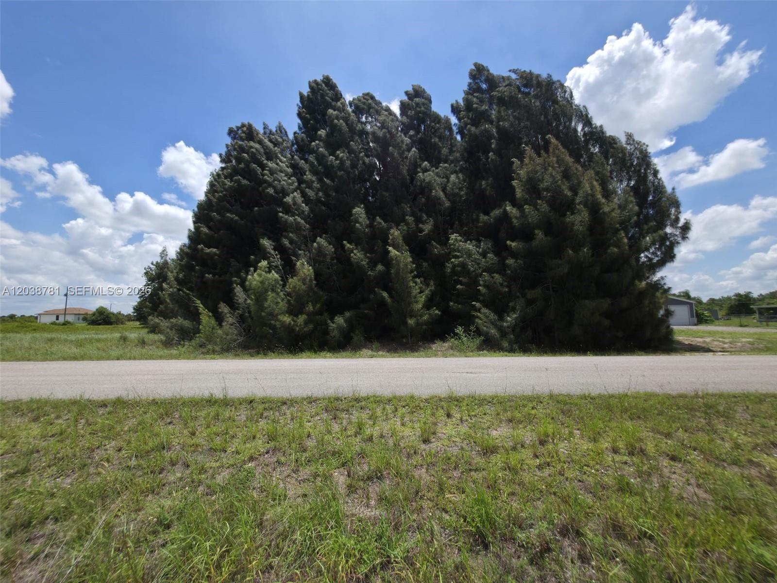 1616 Louis Avenue, Lehigh Acres, FL 33972, Lehigh Acres