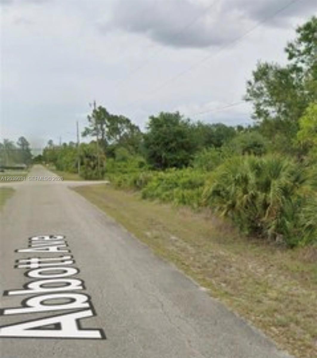 220 NE Abbott Avenue, Fort Myers, FL 33936, Fort Myers