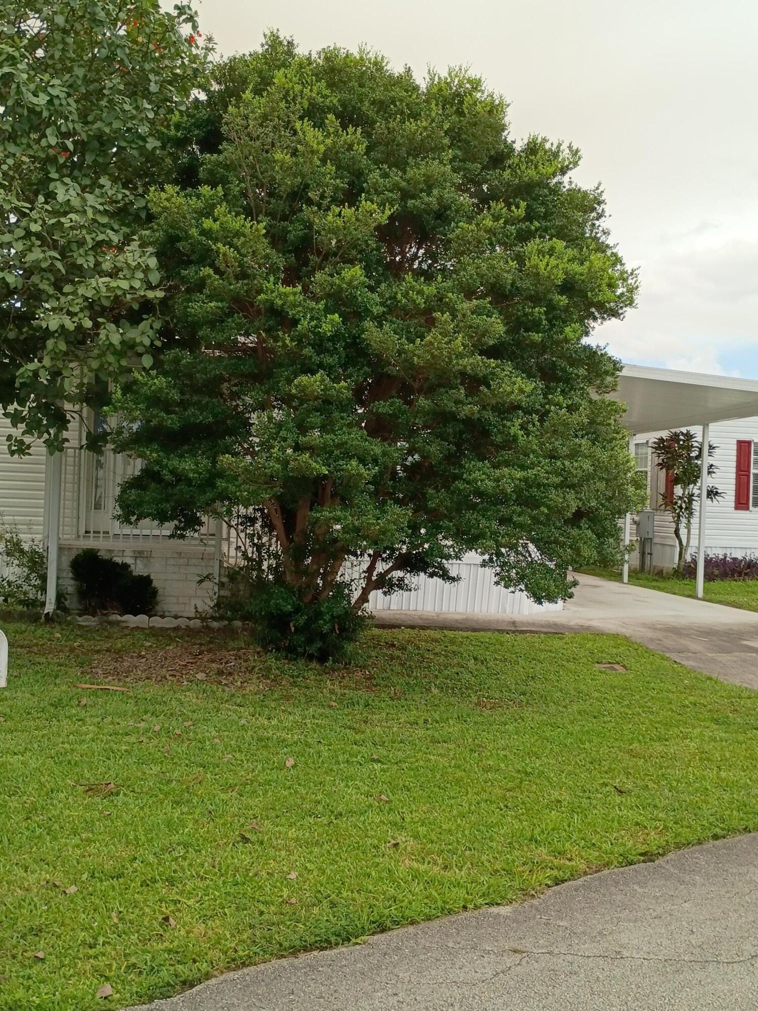 2080 SW 85th Avenue, Davie, FL 33324 photo 23