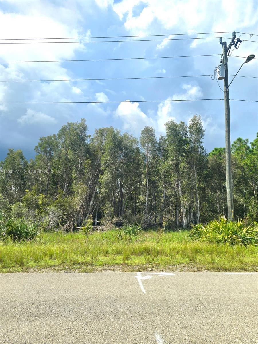 2650 Meadow Road, Lehigh Acres, FL 33974, Lehigh Acres