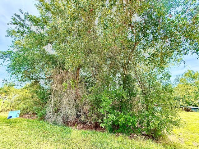 10530 NE 2nd Terrace, Orange Blossom Ranches, Okeechobee, FL