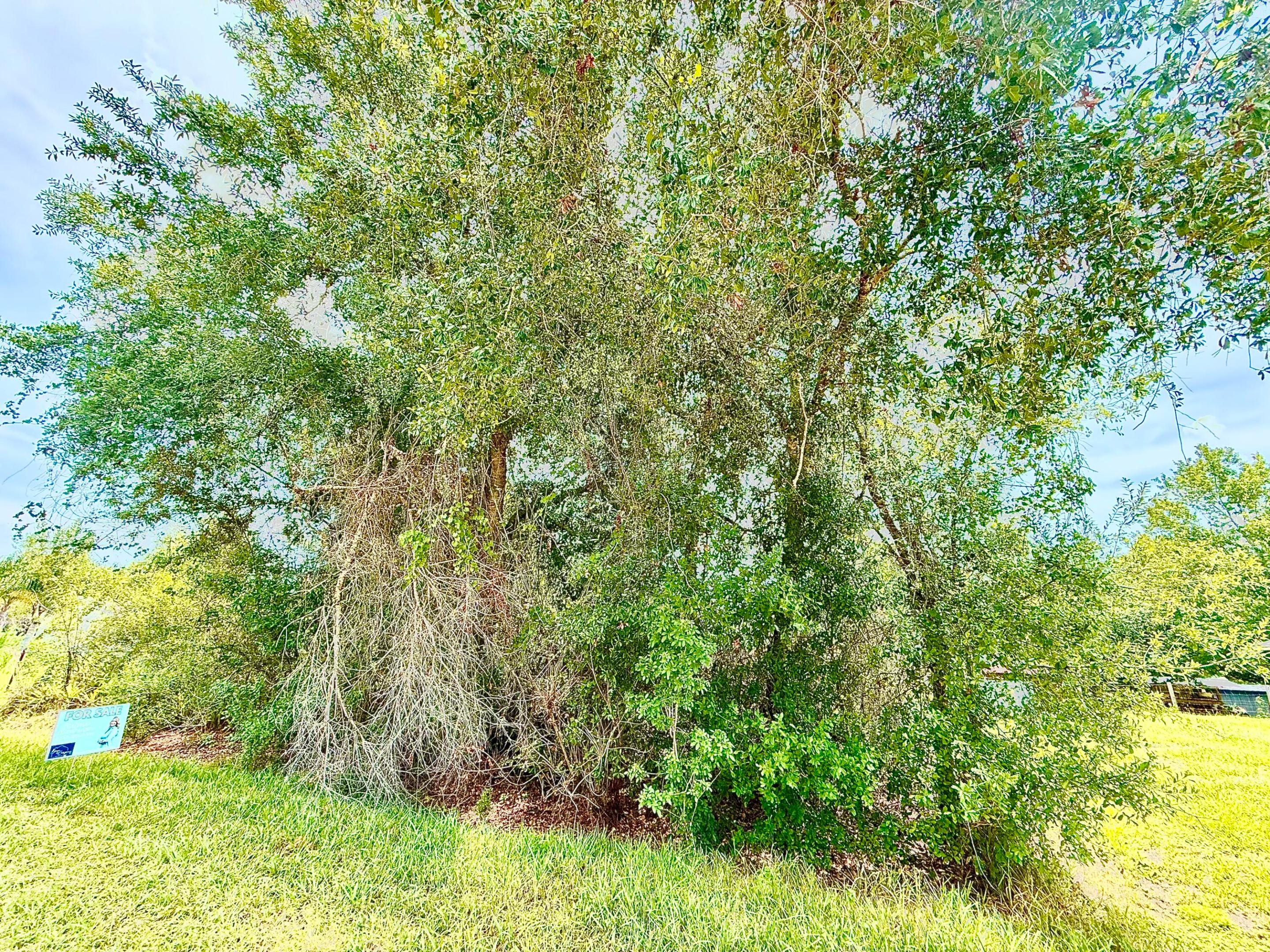 0 NE 2nd Terrace, Okeechobee, FL 34972, Okeechobee