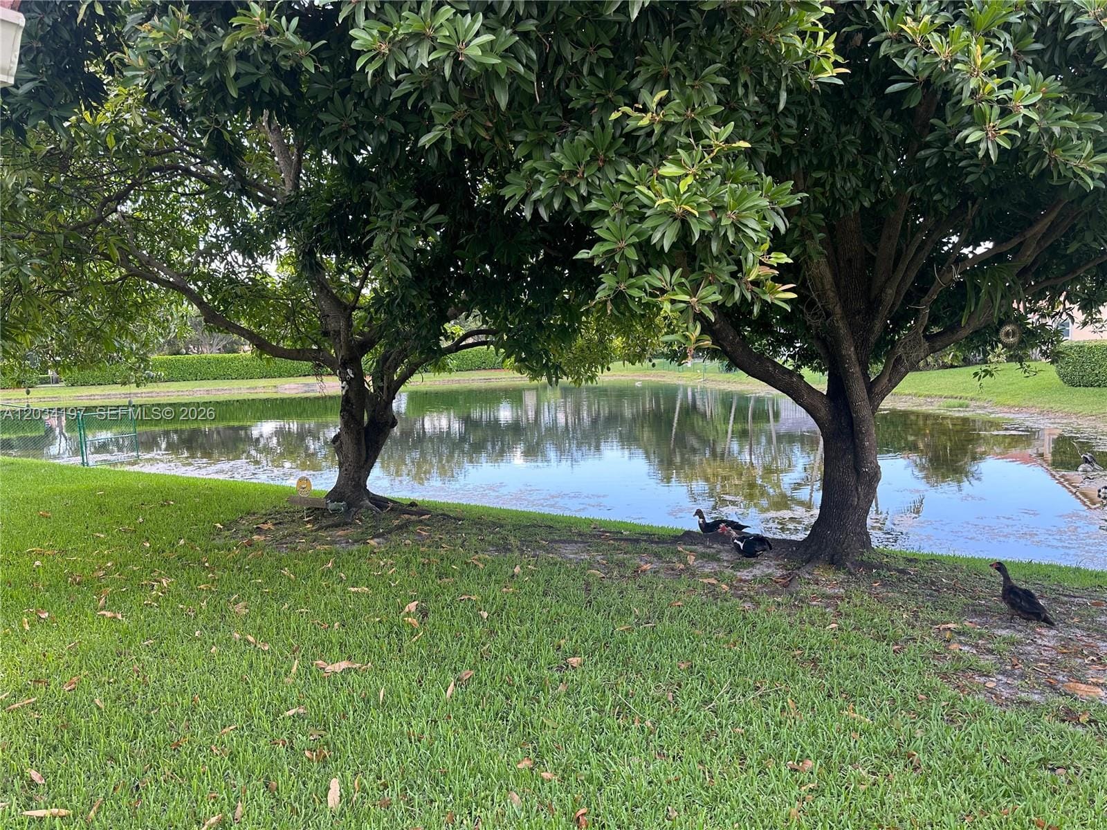 16328 NW 11th Street, Pembroke Pines, FL 33028 photo 12