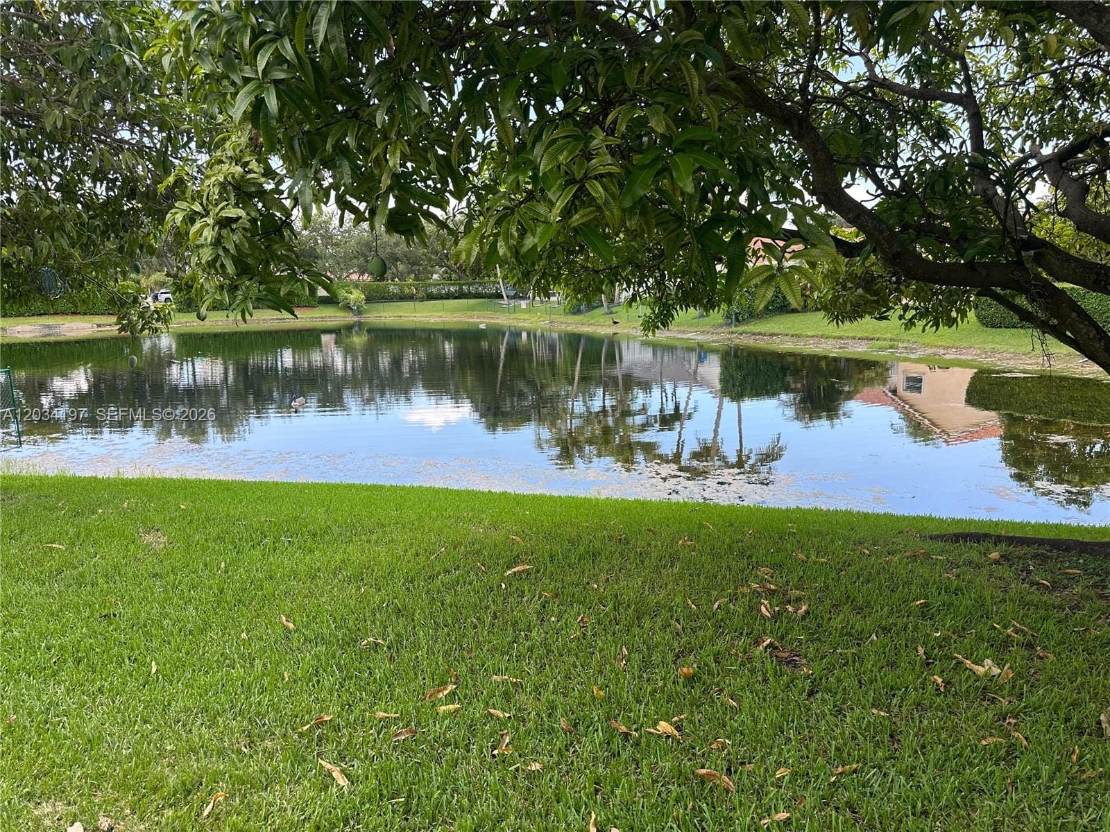 16328 NW 11th Street, Pembroke Pines, FL 33028 photo 13